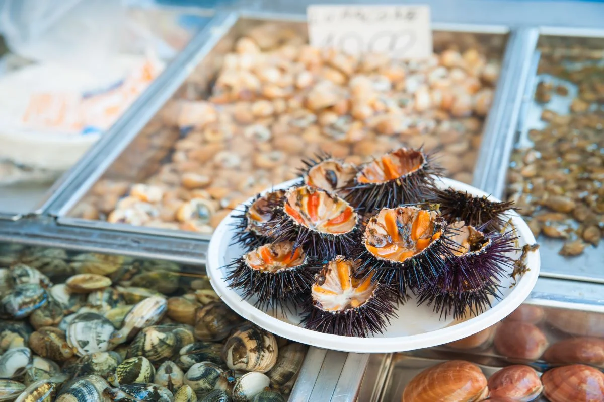 Sea urchins, Catania