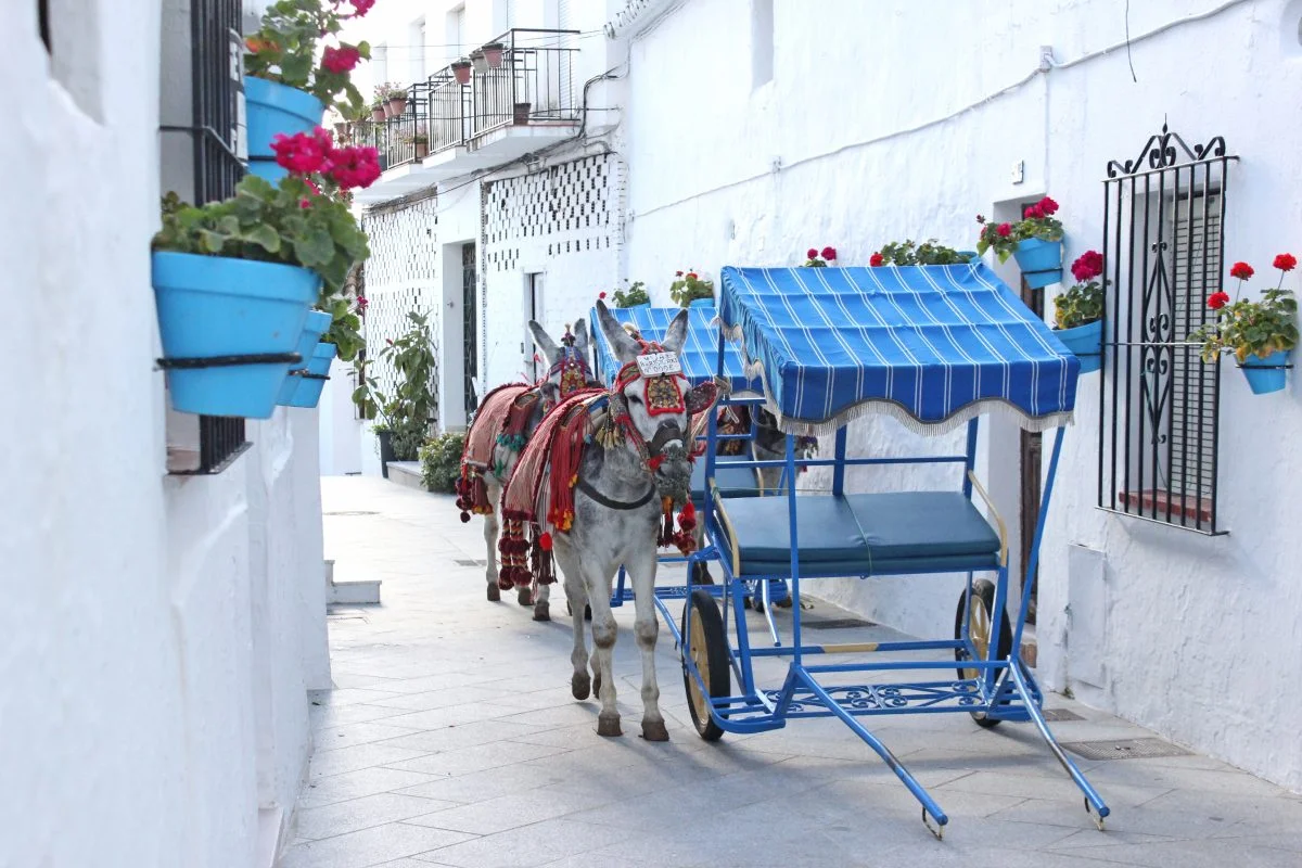 Burro taxi, Mijas street © shutterstock