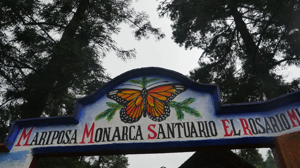 Entrance to the El Rosario Monarch Butterfly Sanctuary in Mexico