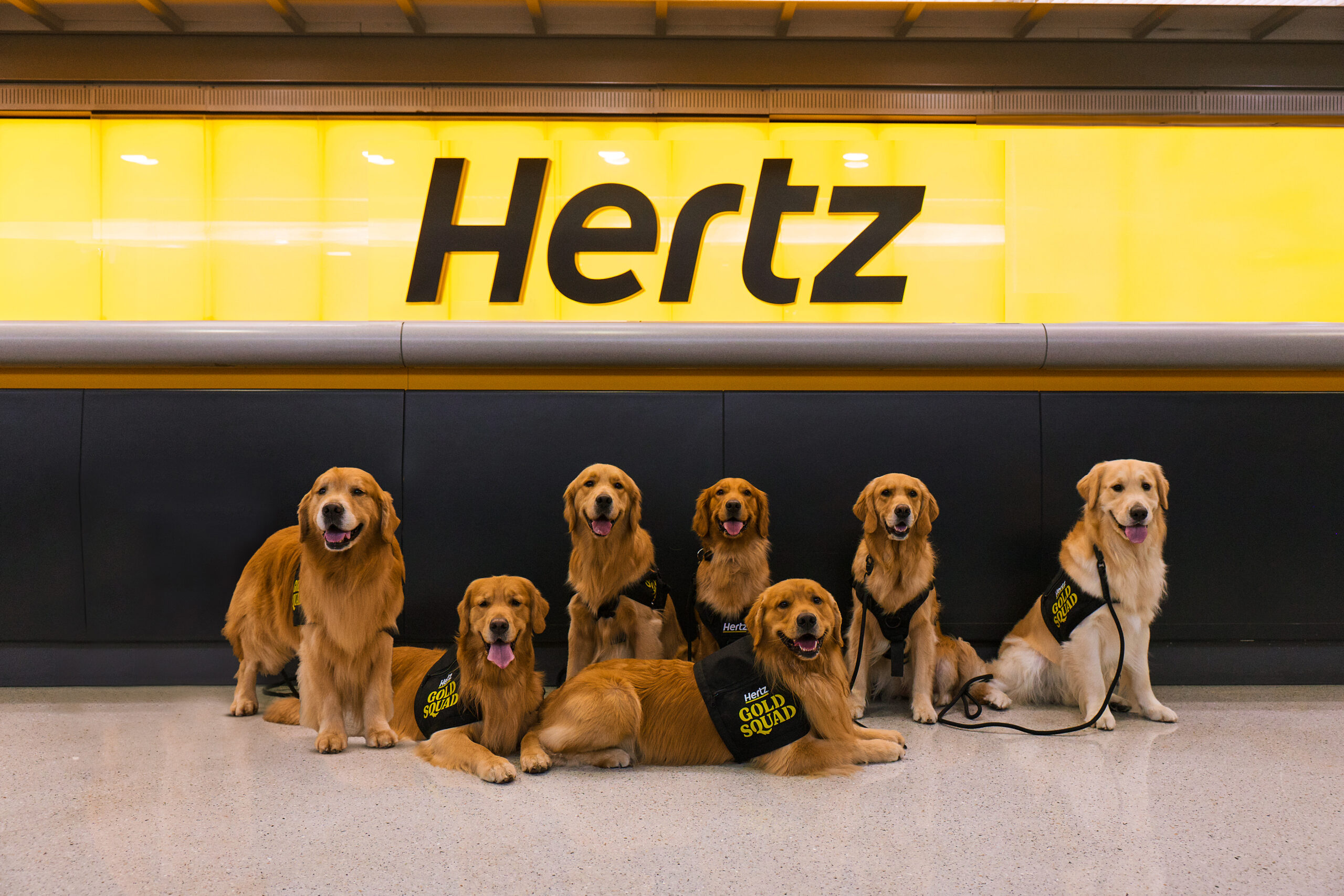 Golden Retrievers' Gathering in Golden, Colo. Celebrates Major Sponsorship Boost