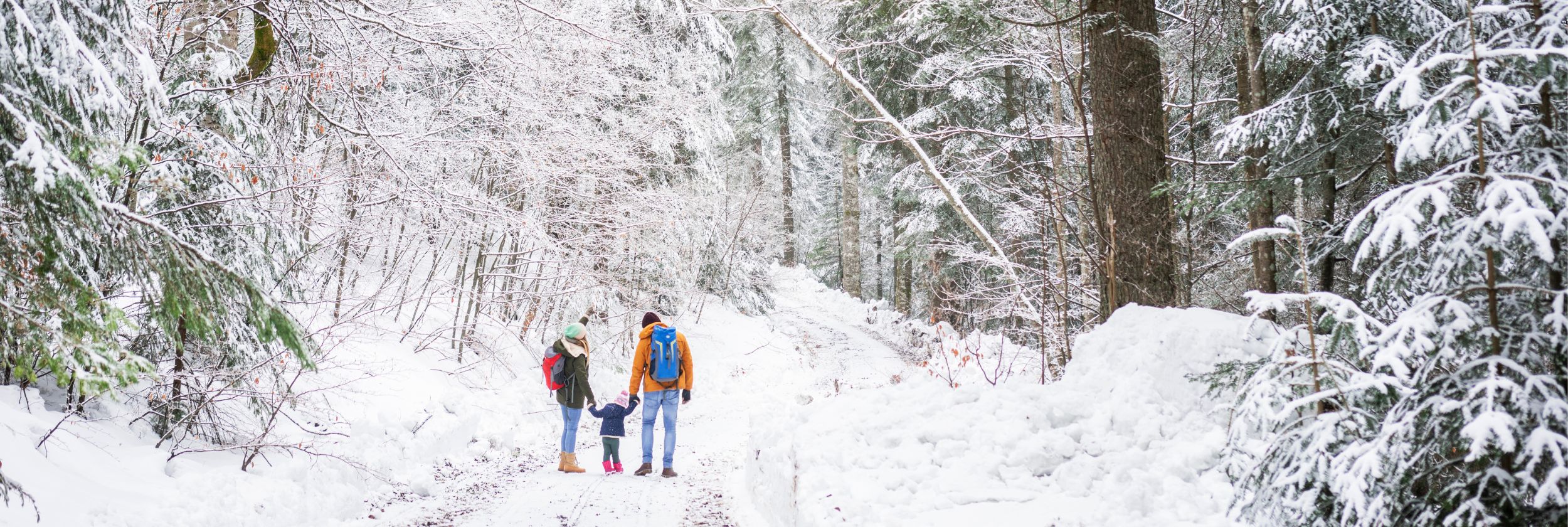 Maximize Your Winter Break with These Travel Tips